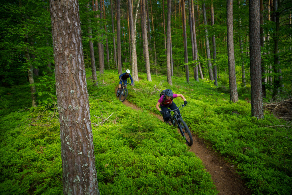 Bike in Forest